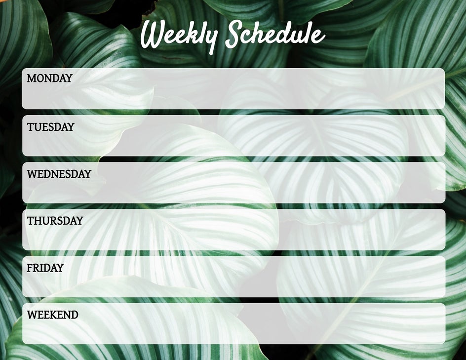 Tropical schedule planner ideas