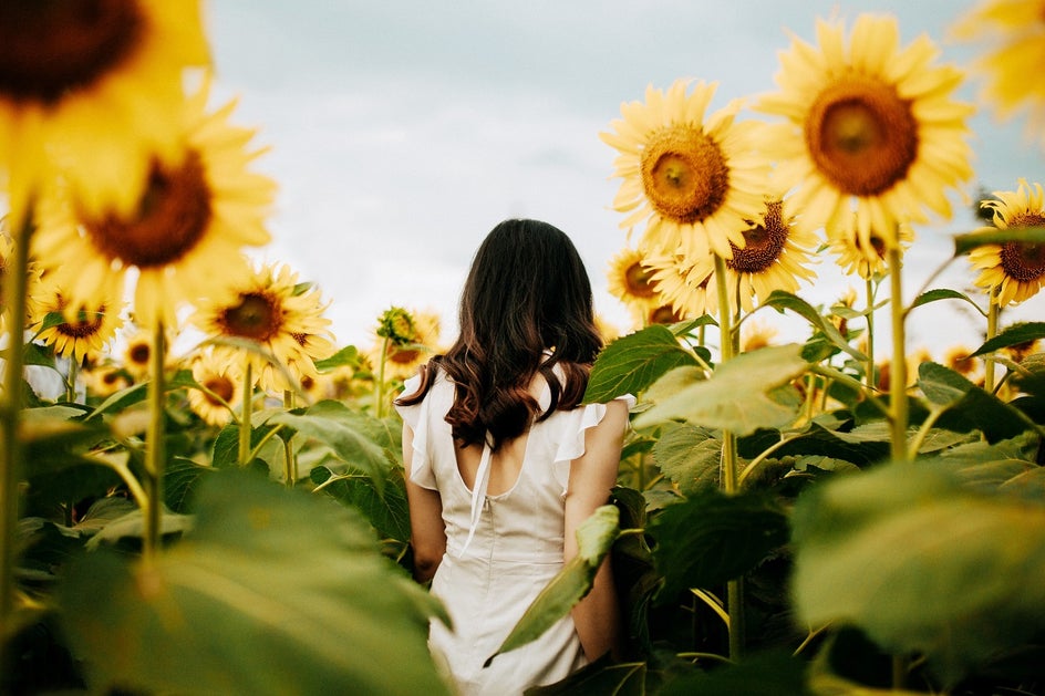 Plant, Person, Human, Flower, Blossom, Sunflower