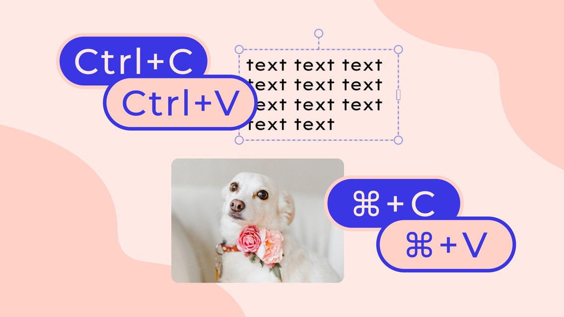 Copy/Paste Text and Images Straight to Your Canvas With BeFunky | Learn ...