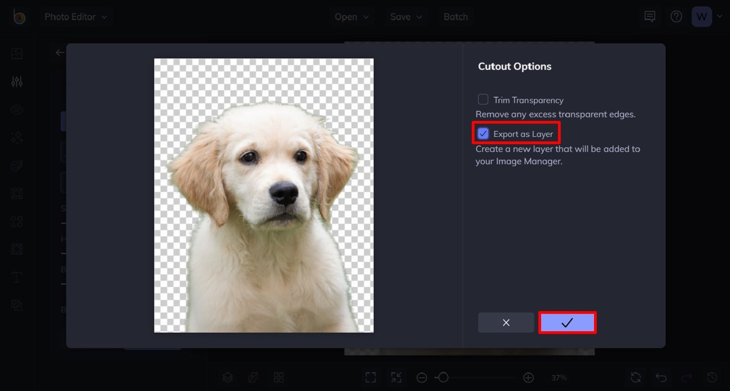 How to Make a Digital Pet Portrait Learn BeFunky