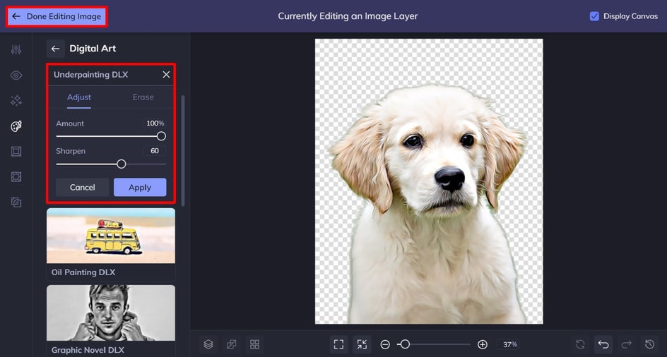 How to Make a Digital Pet Portrait Learn BeFunky