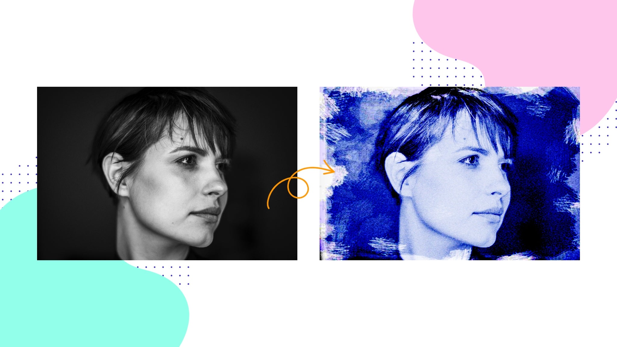 Apply a Cyanotype Effect to Any Photo Learn BeFunky