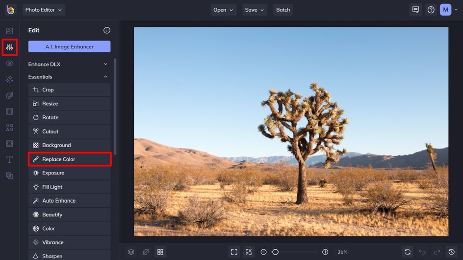 How to Edit and Replace Colors in Your Photos | Learn BeFunky