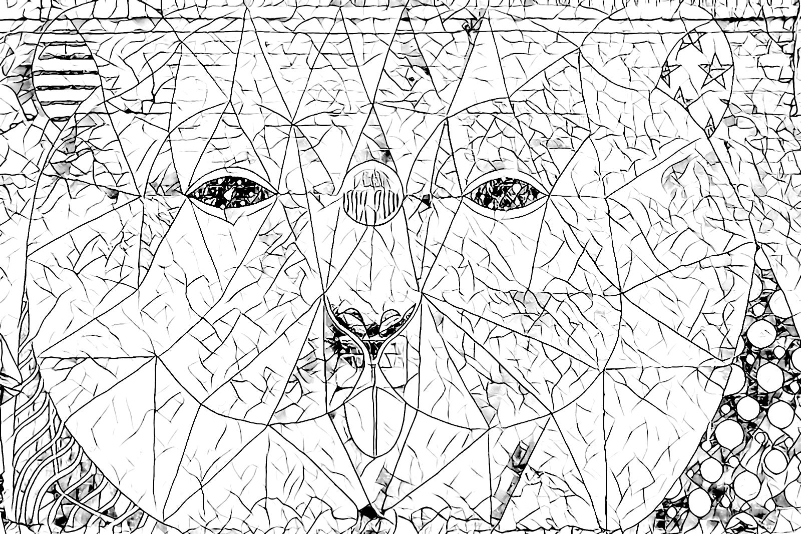 Create Your Own Adult Coloring Book