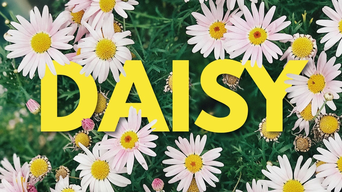 floral typography featured