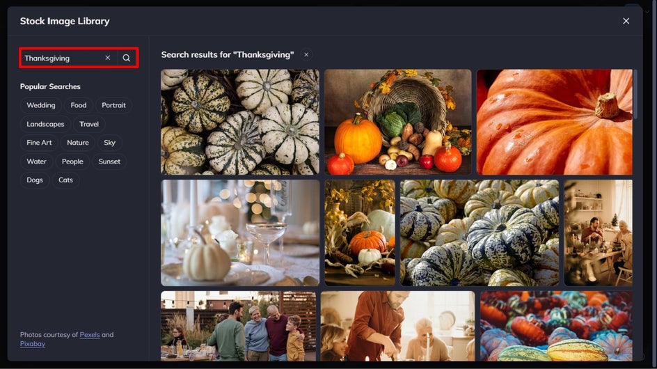 thanksgiving stock images