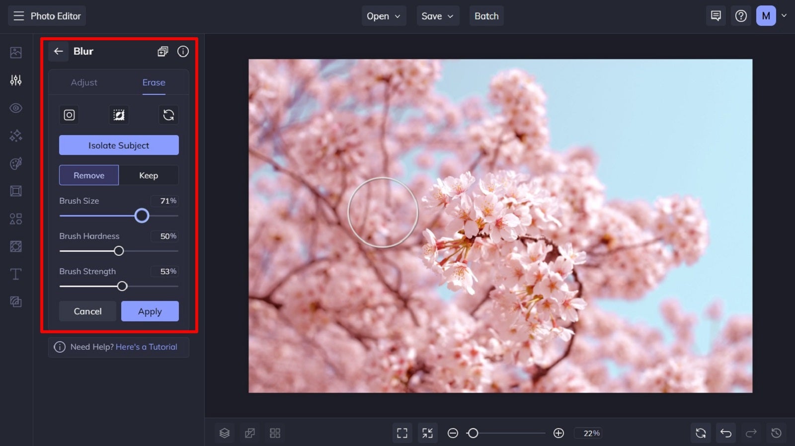 3 Ways to Blur the Background of Your Photos Learn BeFunky