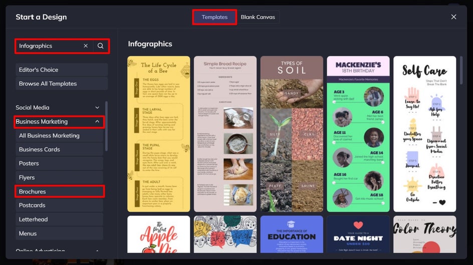 infographic templates