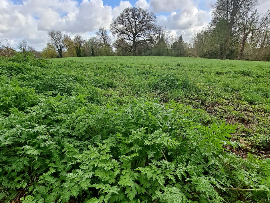 wide angle landscape mobile