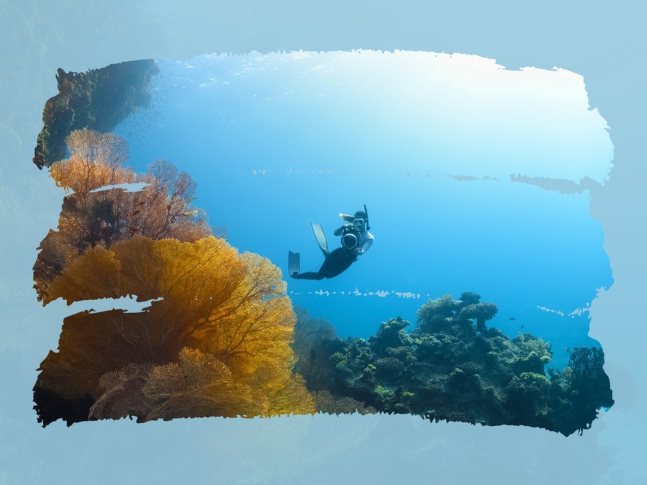 underwater brush overlay color