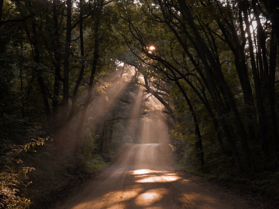 light patterns nature