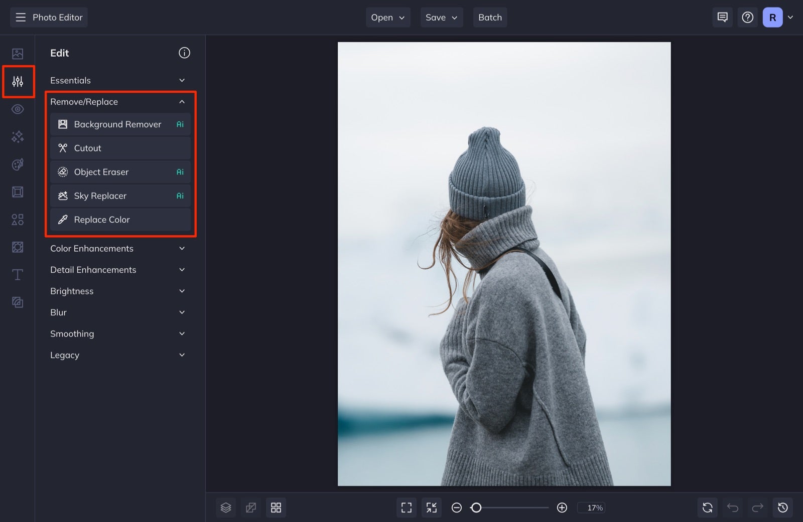 Learn the Basics of Removing and Replacing Elements in BeFunky’s Photo ...