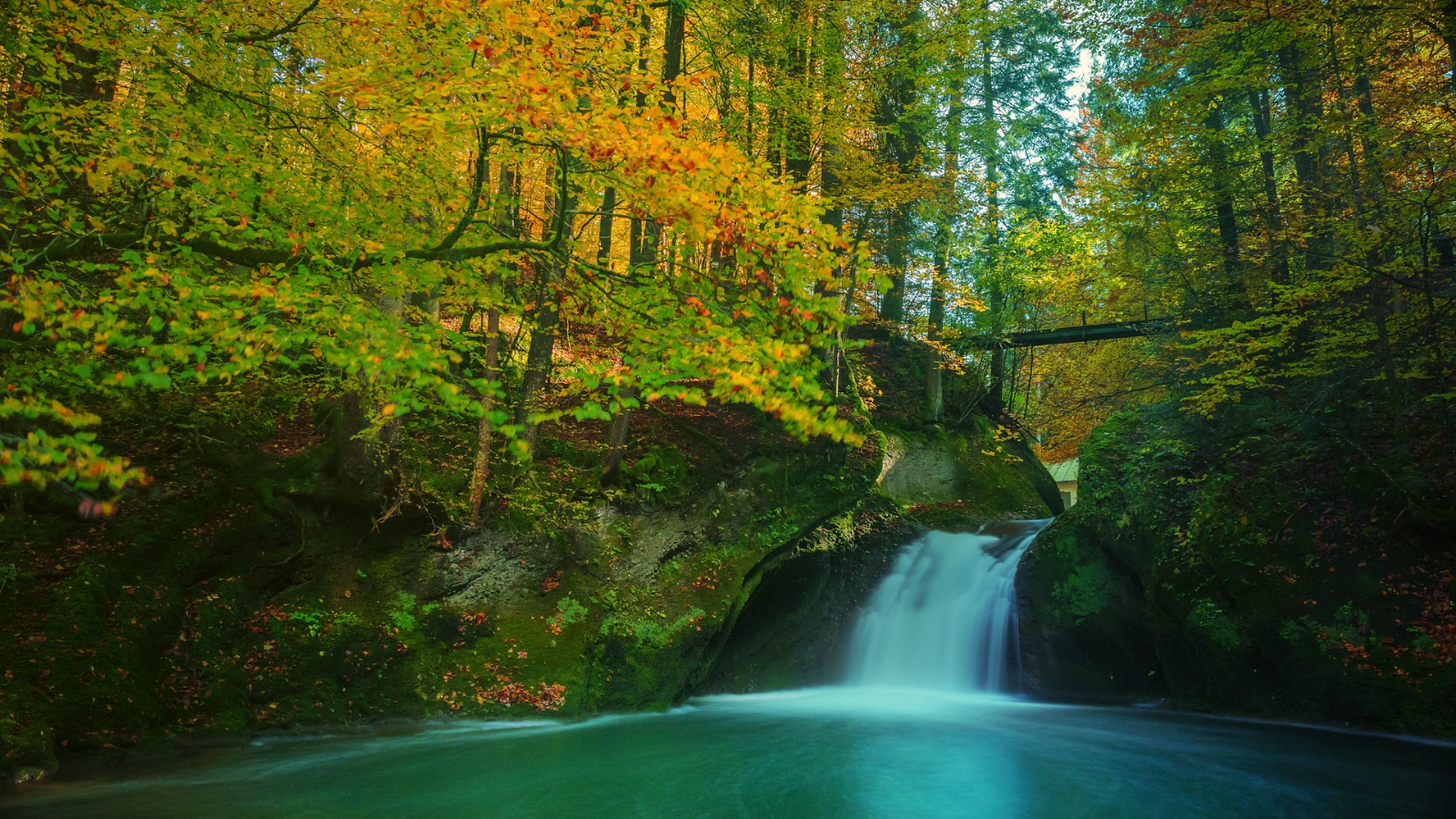 6 Simple Editing Methods for Photo Color Correcting | Learn BeFunky