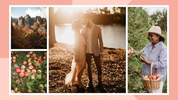 Organize Your Fall Photos Into the Perfect Collage with our Collage ...