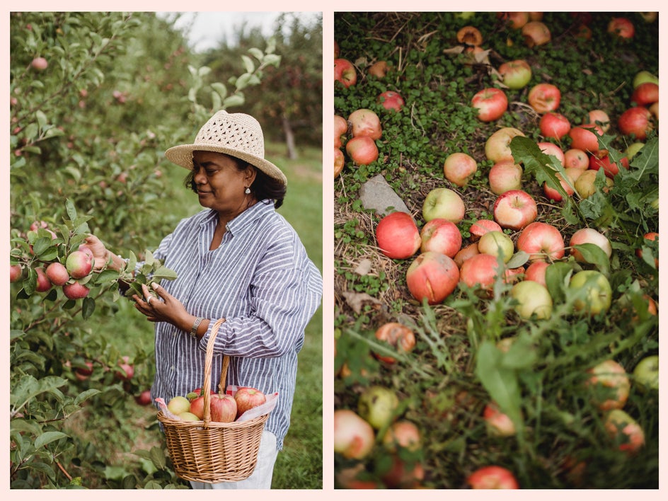 apples for fall photography