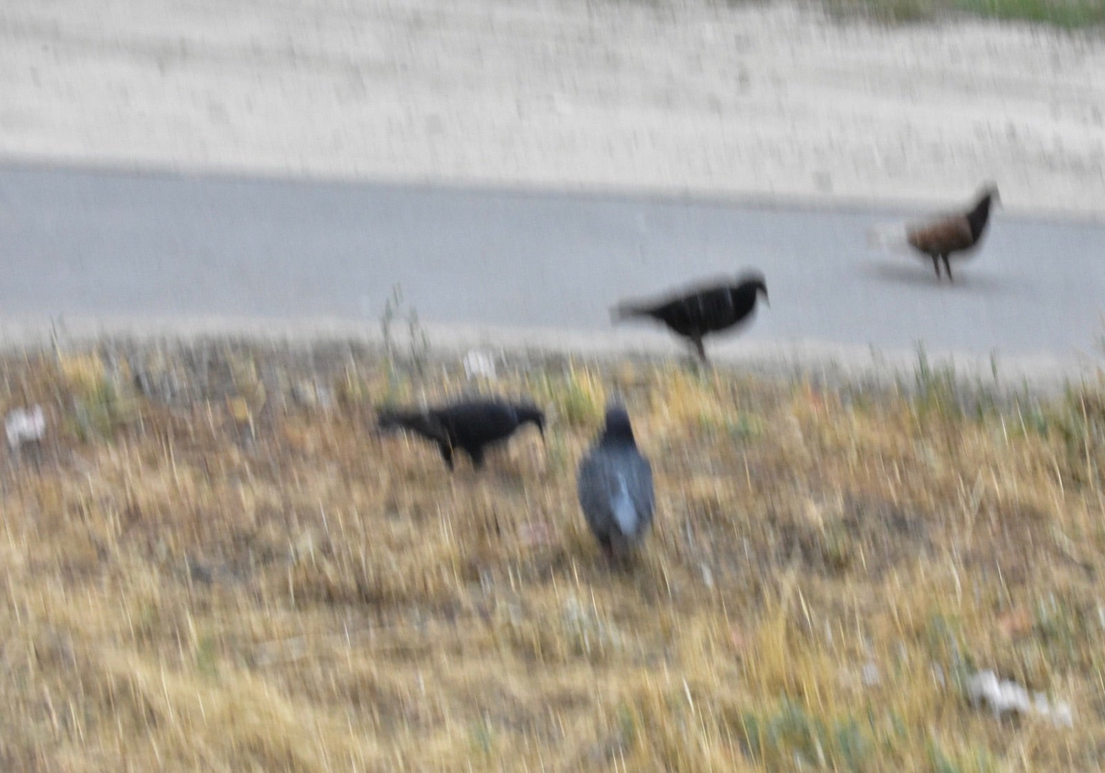 Our Guide for Fixing Motion Blurs With the Deblur AI Tool Learn BeFunky