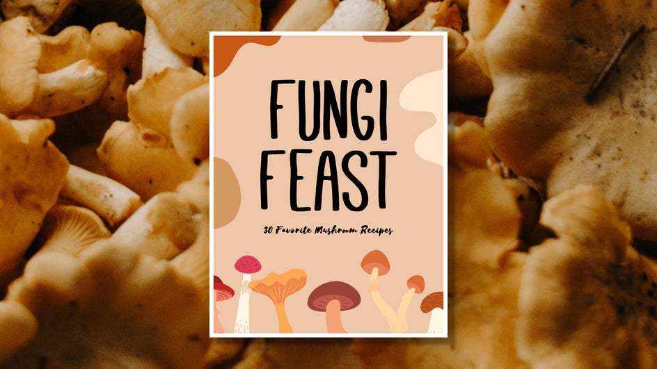 fungi graphics cookbook