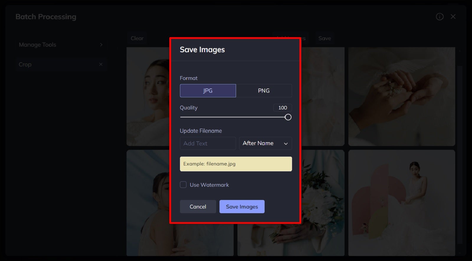 How to Batch Crop Photos in Seconds | Learn BeFunky