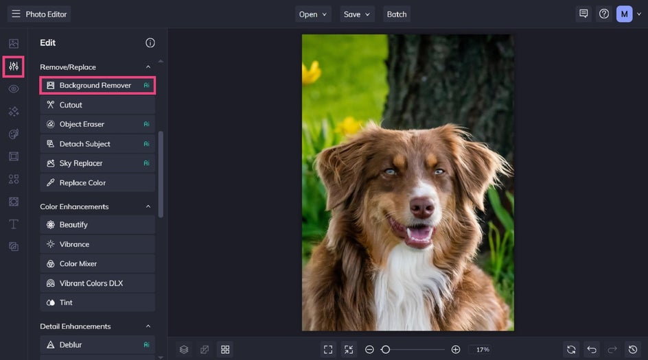 Using background remover tool to create a cartoon pet portrait 