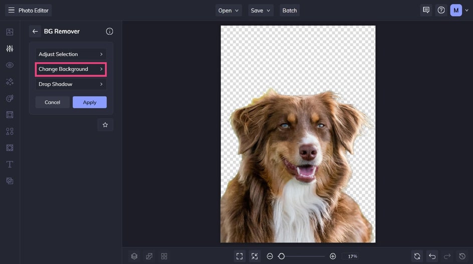 Changing the background color of a pet portrait