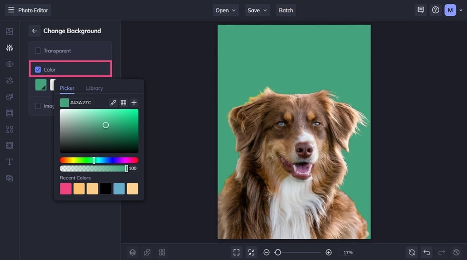 Adding a solid colored background to a pet portrait