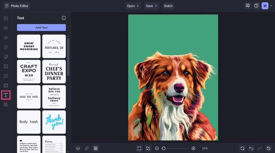 Adding text to custom pet portrait cartoon