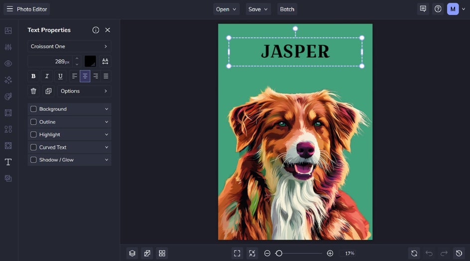Text properties creating a cartoon pet portrait