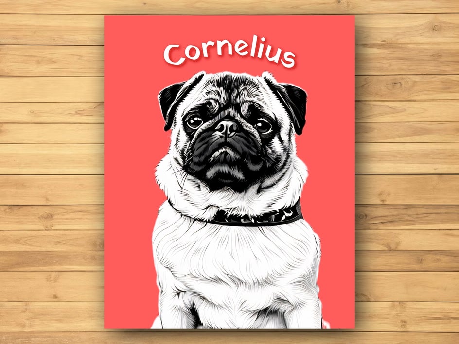 Comic noir pet portrait made using BeFunky