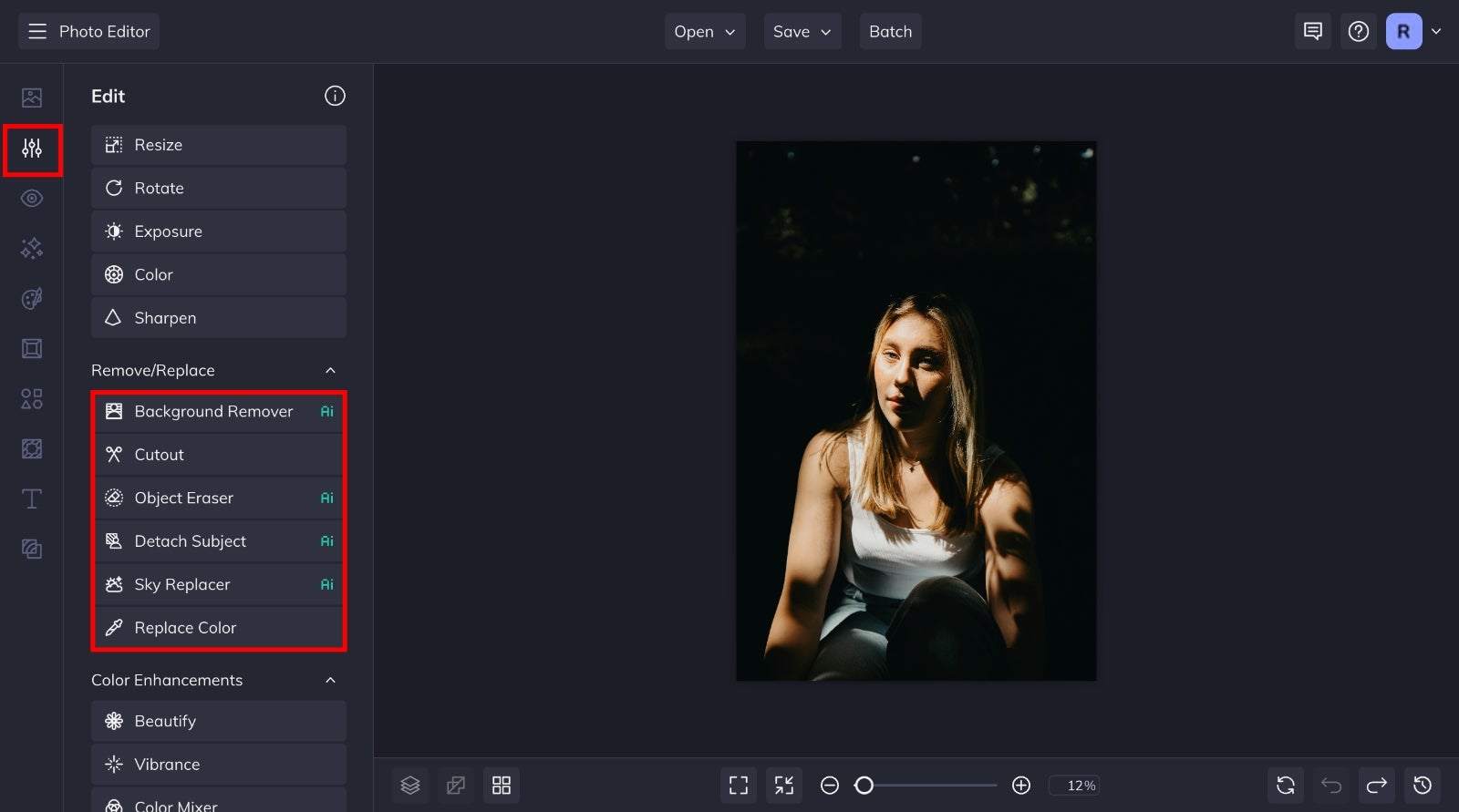 Learn the Basics of Removing and Replacing Elements in BeFunky’s Photo ...