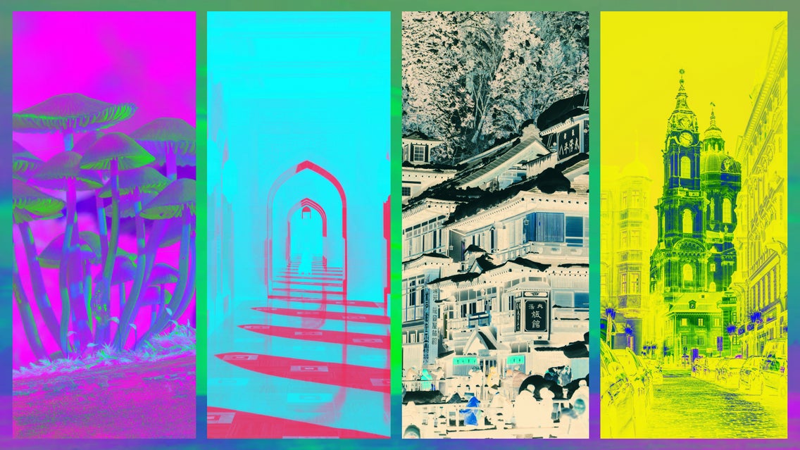 How to Invert Photos Online | Learn BeFunky