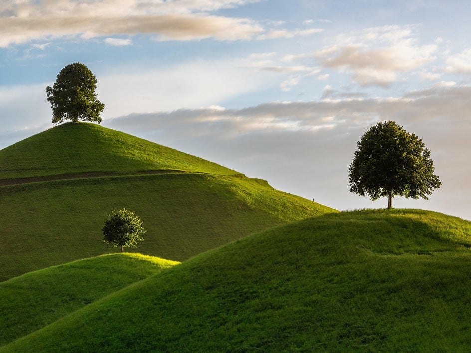 Grassy hills with sunset and clouds