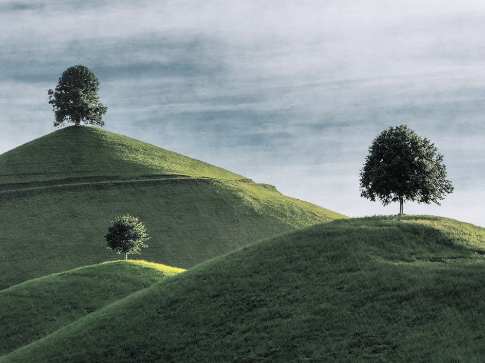 Winter effect and dark sky applied to create a winter scene