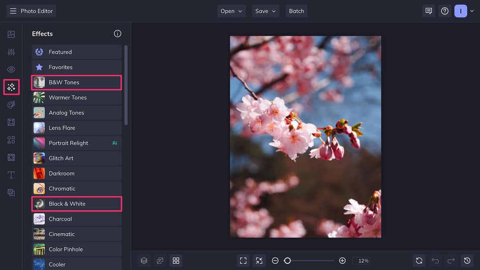 B&W and Black and White effects in the Effects tab