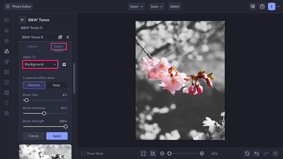 Colorize subject of black and white photo with Select tab