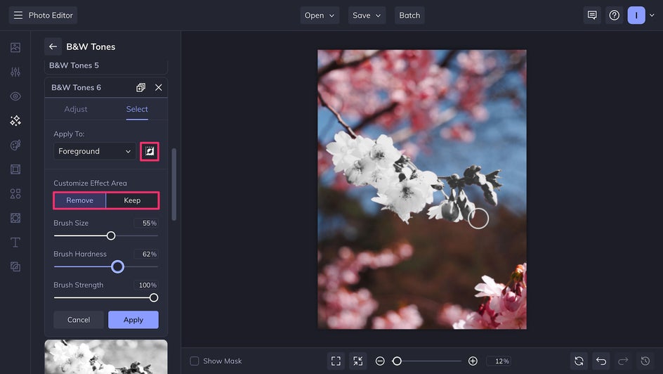 Invert and apply black and white effect