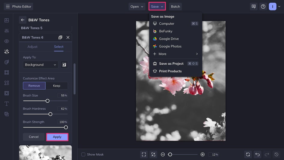 Apply and Save highlighted for final black and white photo with color accent