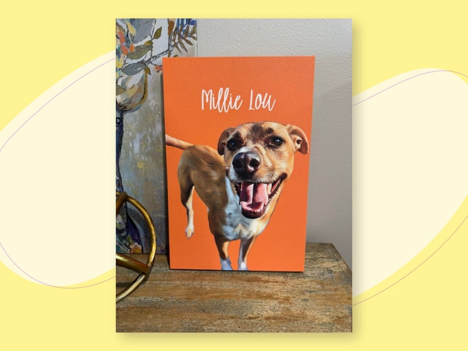 millie lou portrait pet