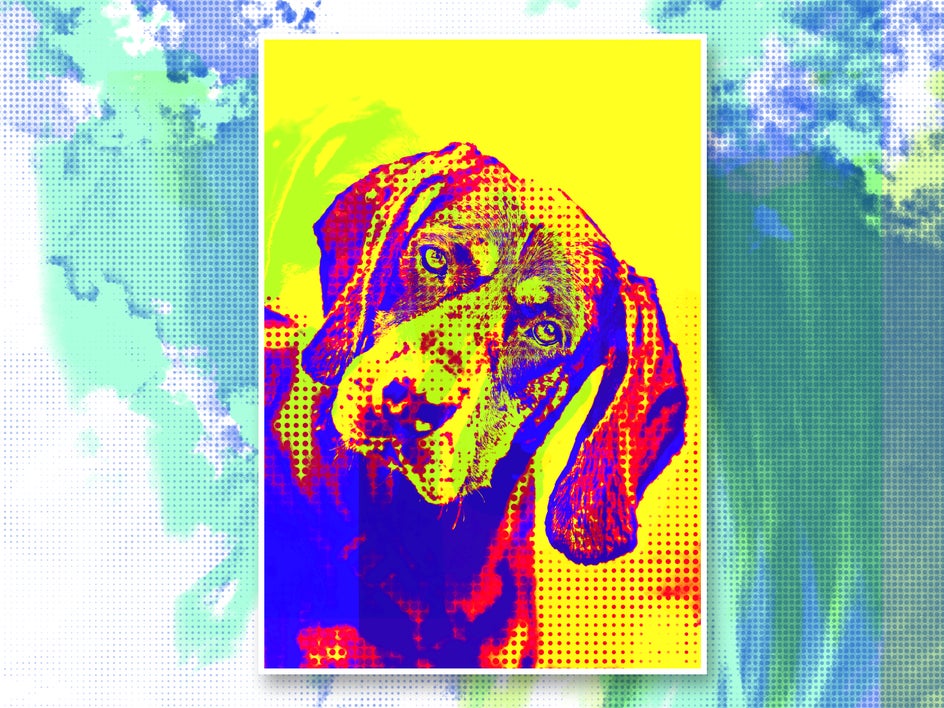 Same portrait of dog with pop art effect applied to change tone, texture, and color
