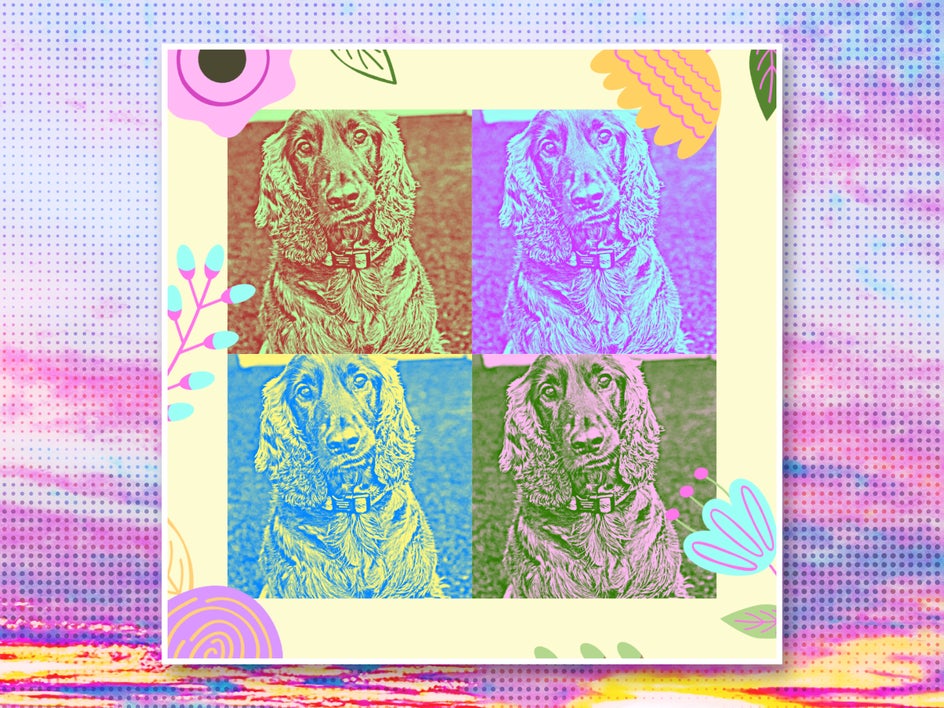 Pet Pop Art Social Media