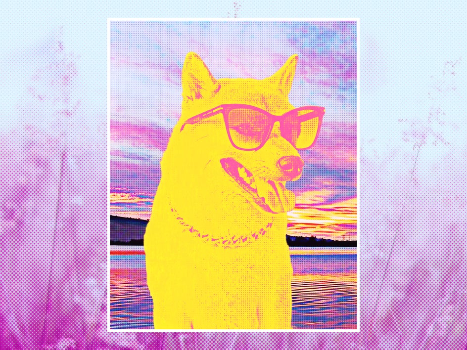 Pop Art Poster Pet