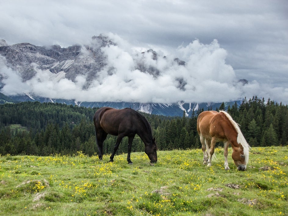 realism-painting-from-photo-landscape-before