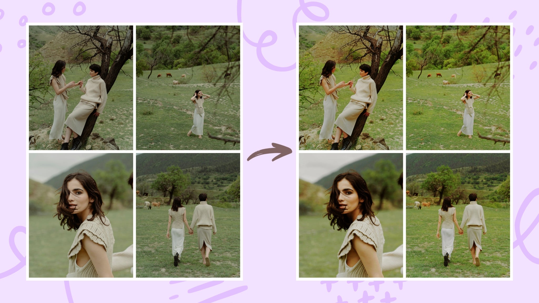 how to apply photo effects to multiple pictures at once using BeFunky Batch Photo Editor.