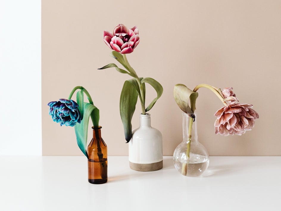 Vases before using Smart Edit