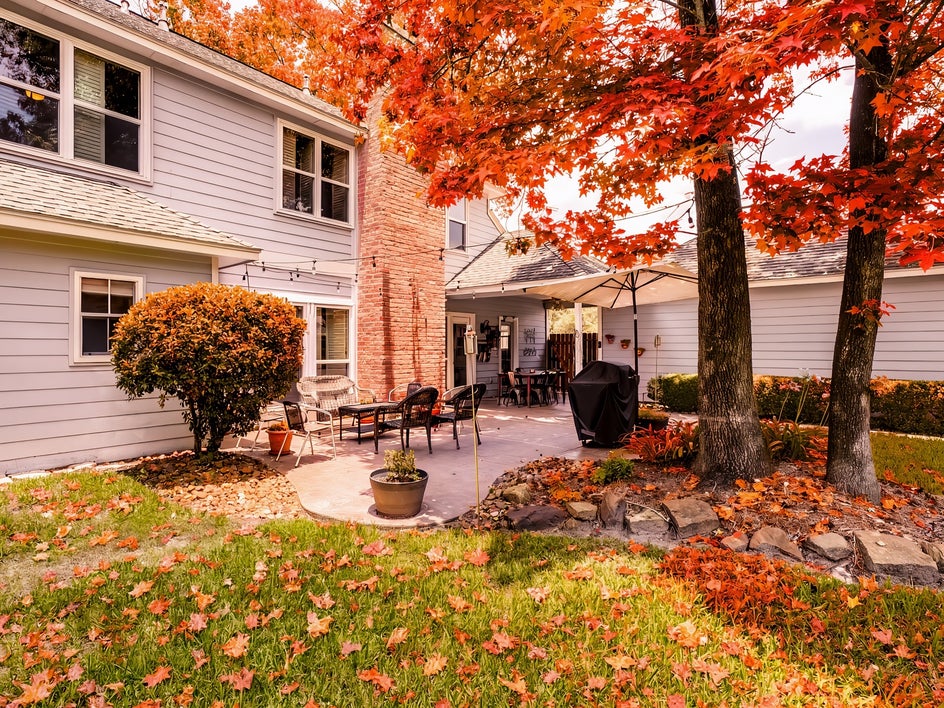 Using AI photo editing to add seasonal edits to real estate photography BeFunky
