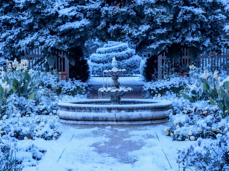After changing season in photo using Smart Edit